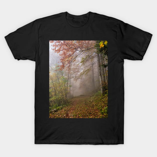 Misty Bavaria T-Shirt by krepsher